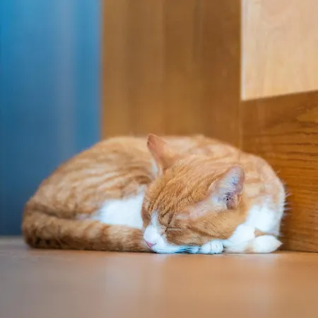 Ocean View In First Row. Architectural Pearl דירה