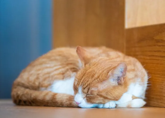 Ocean View In First Row. Architectural Pearl アパート